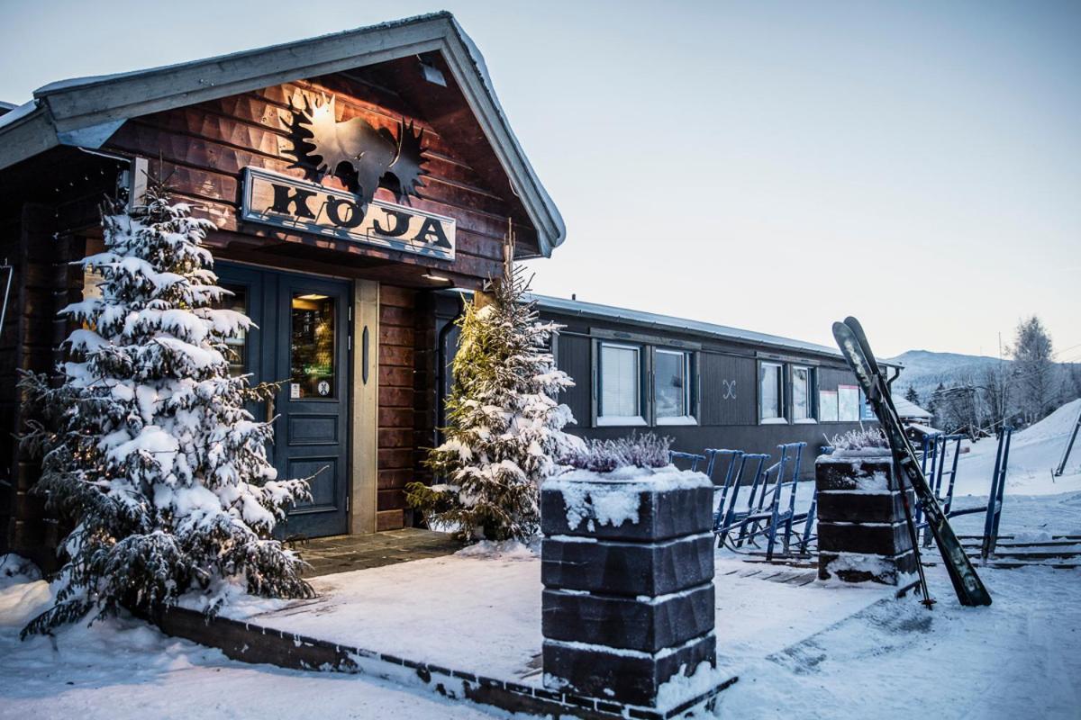Koeja Fjaellhotell Edsasdalen Buitenkant foto