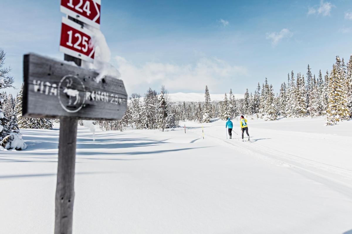 Koeja Fjaellhotell Edsasdalen Buitenkant foto