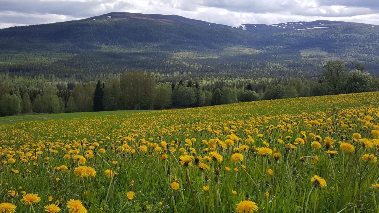 Koeja Fjaellhotell Edsasdalen Buitenkant foto