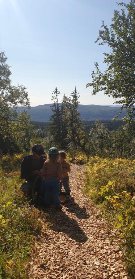Koeja Fjaellhotell Edsasdalen Buitenkant foto