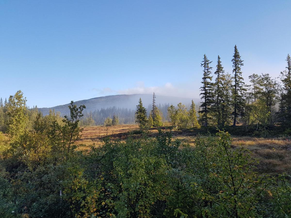 Koeja Fjaellhotell Edsasdalen Buitenkant foto