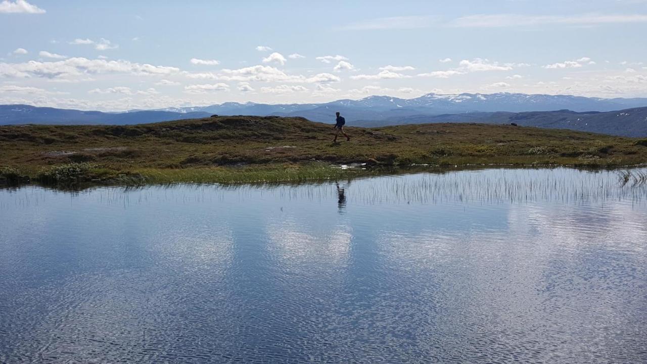 Koeja Fjaellhotell Edsasdalen Buitenkant foto