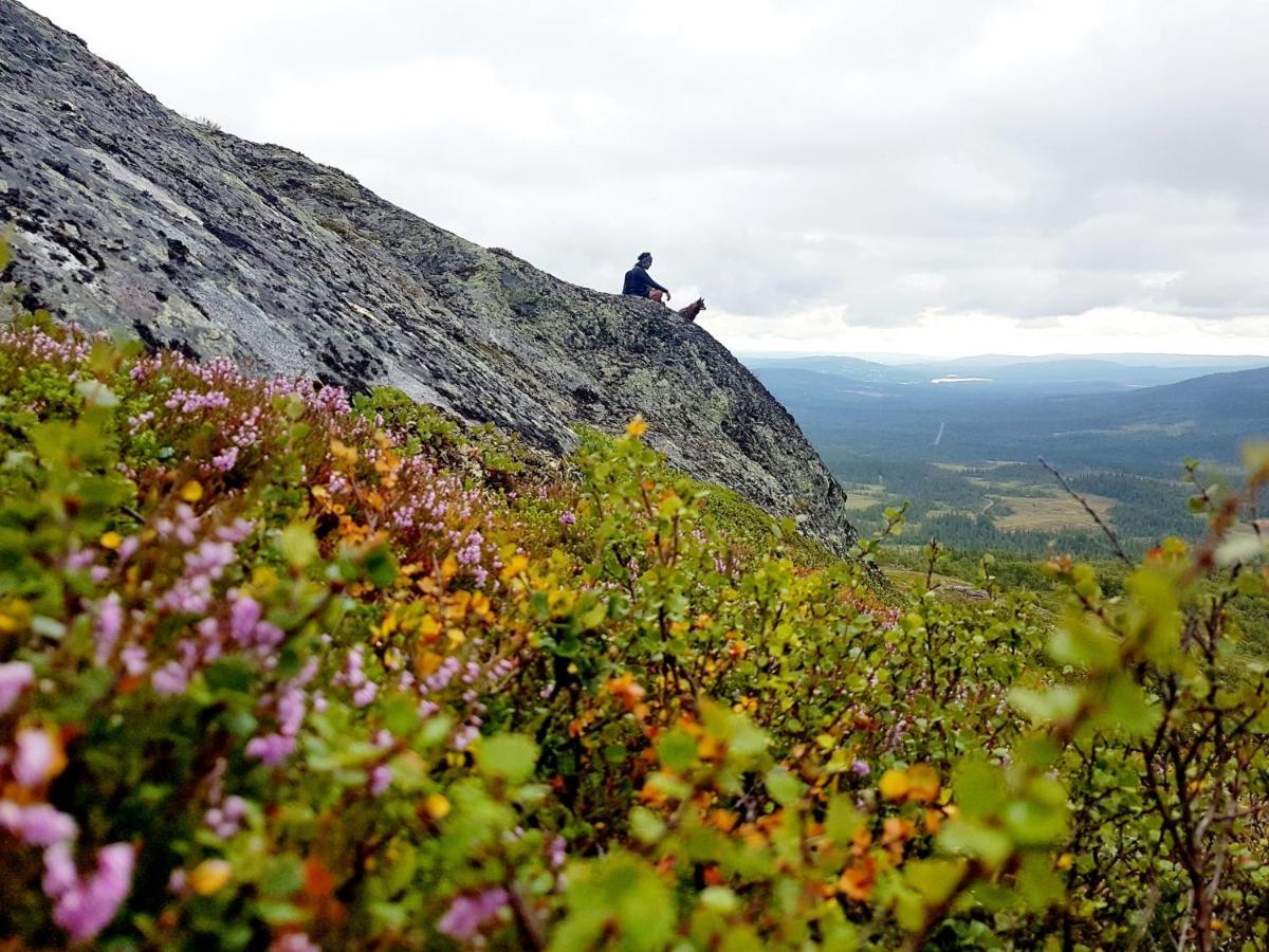 Koeja Fjaellhotell Edsasdalen Buitenkant foto