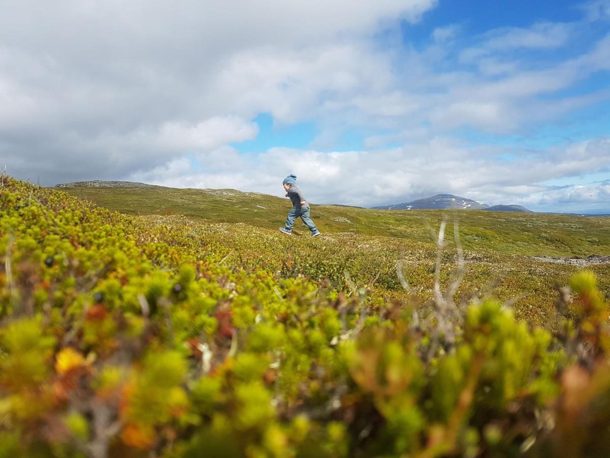 Koeja Fjaellhotell Edsasdalen Buitenkant foto